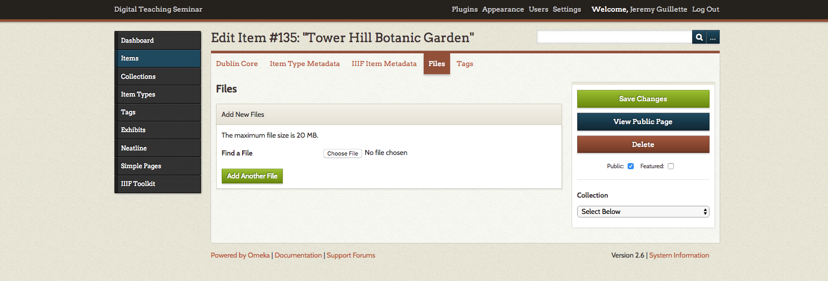 Screenshot of back-end page to add files to Omeka item